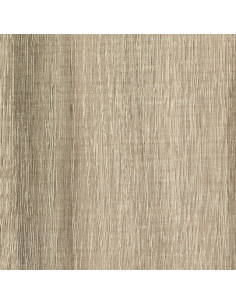 READY D XINFONIER 5/C... 2