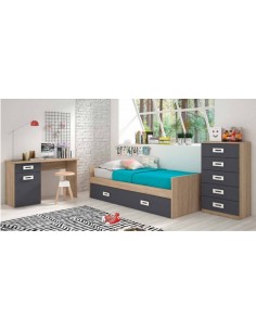 DORMITORIO TRIVIAL Nº2...