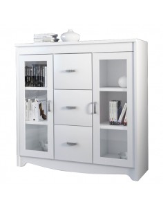 Vajillero de 2 Puertas y 3...