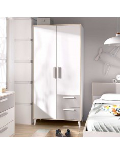 ARMARIO DE 2 PUERTAS Y 2...