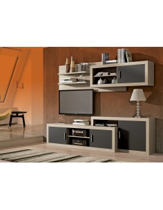 Salón Lara modelo 03 (2)