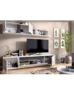 COMPOSICION NEIL  TV CON... 2