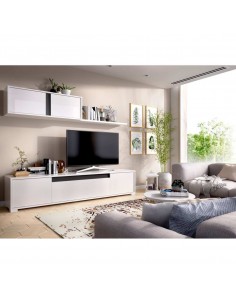 COMPOSICION NEIL  TV CON...