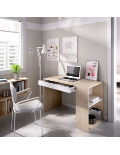 ESCRITORIO TEO CON ESTANTE...