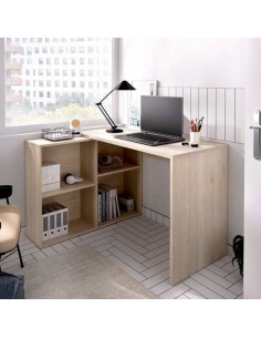 ESCRITORIO CON ORDENACIÓN...