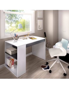 ESCRITORIO CON ESTANTE Y 1...
