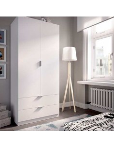 ARMARIO 2 PTAS 2CJ 80...