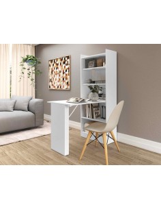 ESTANTERIA CON ESCRITORIO...