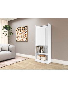 ESTANTERIA CON ESCRITORIO... 2