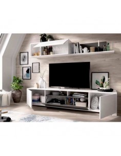 SALÓN TV CON PUERTAS Y... 2