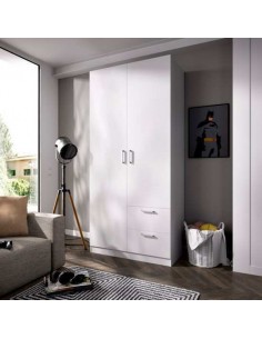 ARMARIO 2 PUERTAS Y 2...