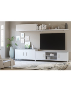 COMPOSICIÓN 53 / 240 CMS. -...