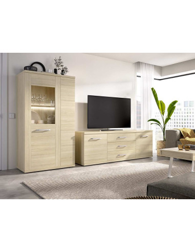 Salón Moderno Tray 09 *Medida: 230 cm
